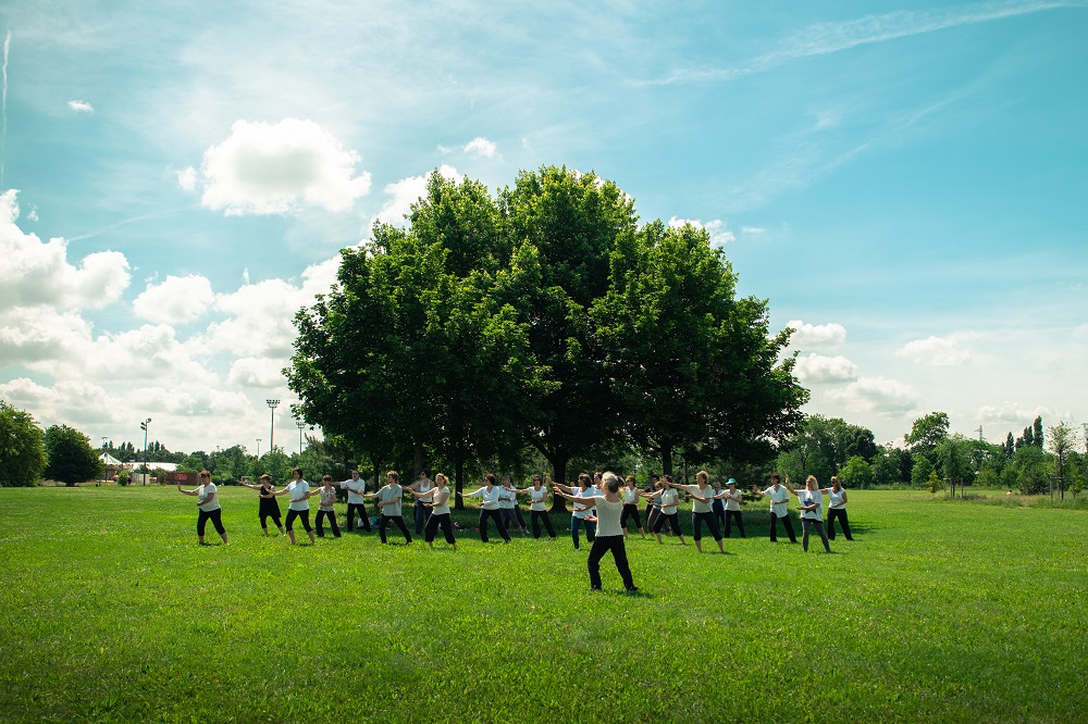 cours groupe qi gong en nature