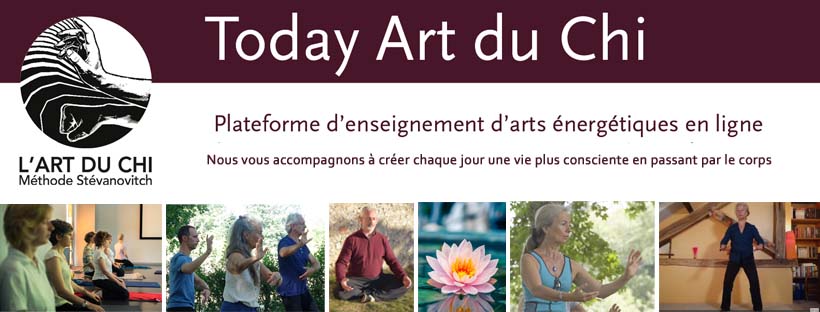 bandeau plateforme cours en ligne