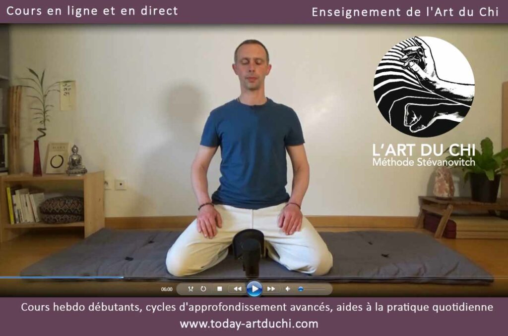 photo cours méditation en visio