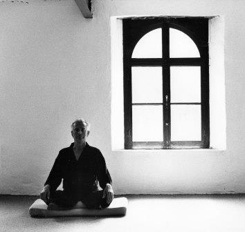 vlady stevanovitch en méditation