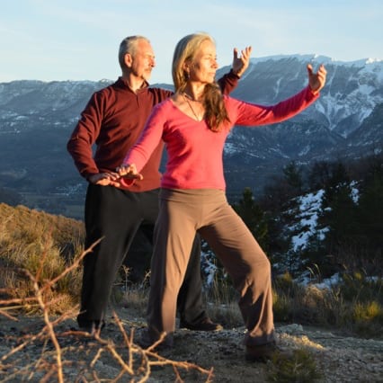 posture de Tai Chi Chuan