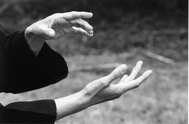 les mains et le Chi