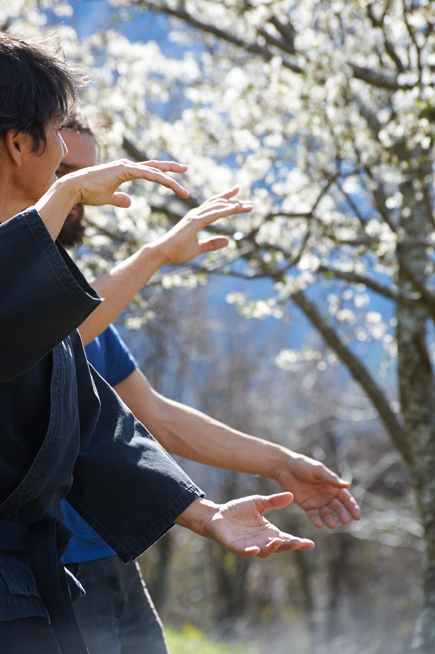 pratique de Tai Chi Chuan sous les arbres